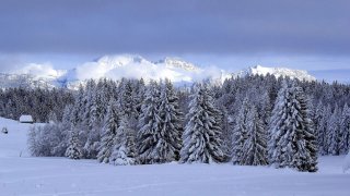 Winterwanderung Heiligenschwendi