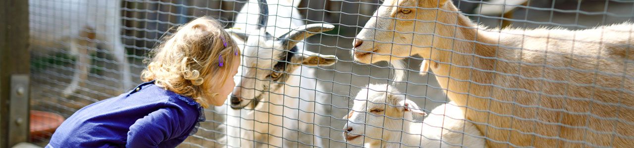 Tierpark Biel