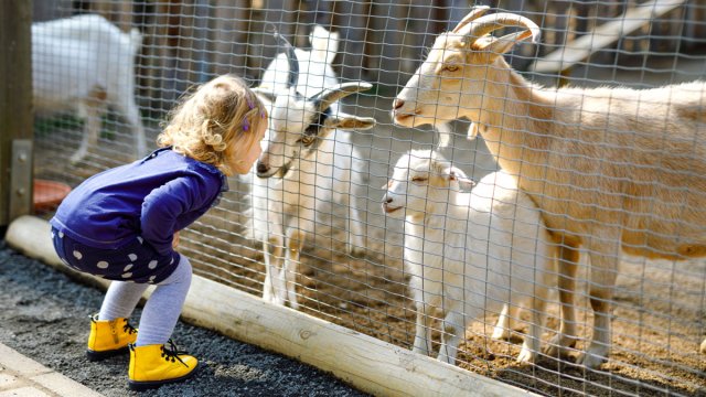Den Tierpark Biel besuchen