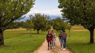 Aussichtspunkt Reckenacker