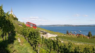 vinifuni – das schönste Auf und Ab am Bielersee